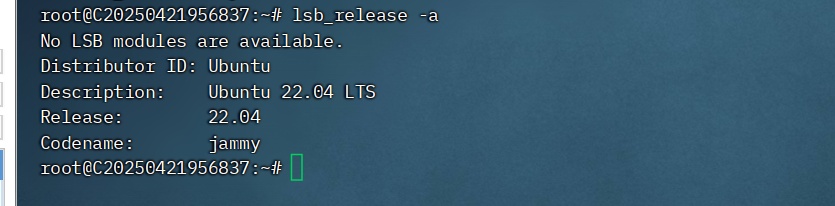 linux查看系统版本命令操作演示